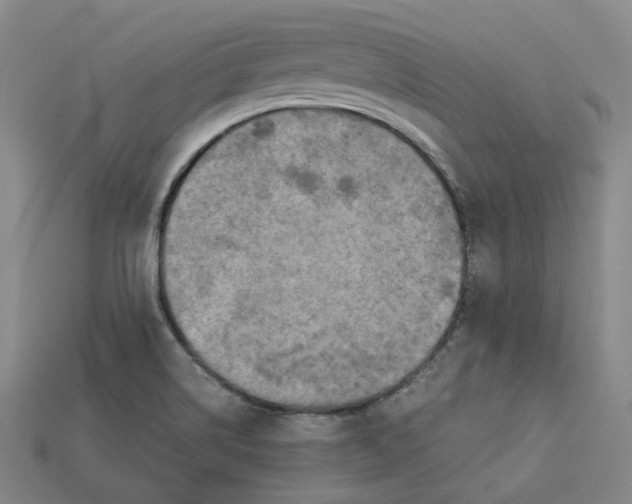 X0000112971514200909241316