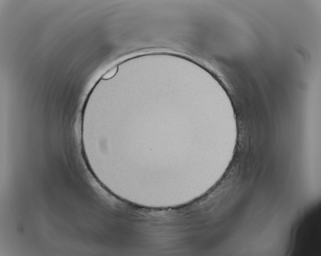 X0000112971516200909241316