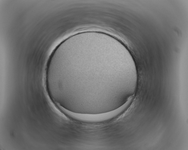 X0000112971518200909241316