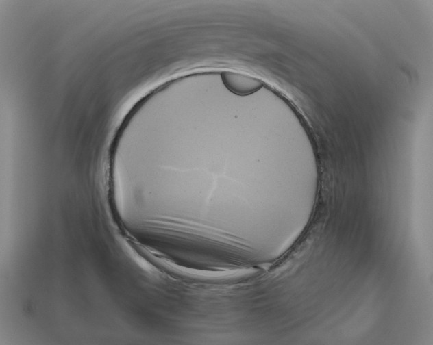 X0000112971519200909241316