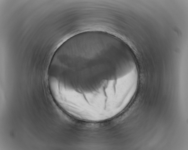 X0000112971521200909241316