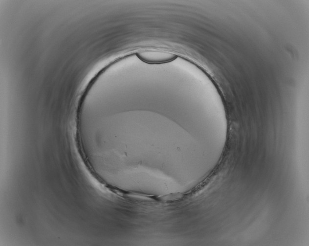 X0000112971523200909241316
