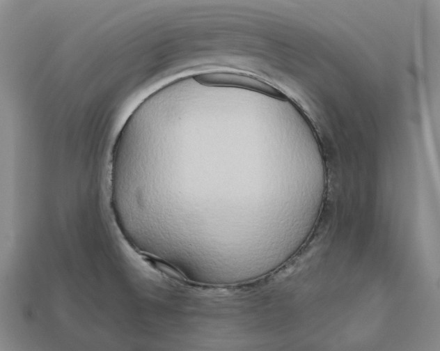 X0000112971524200909241316