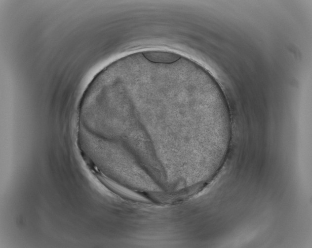 X0000112971526200909241316