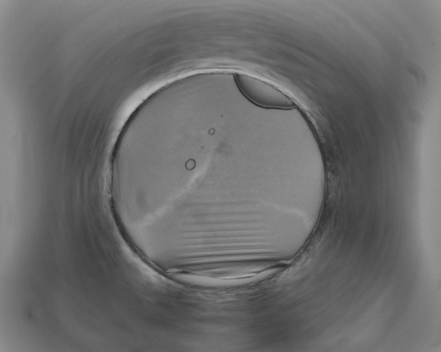 X0000112971527200909241316