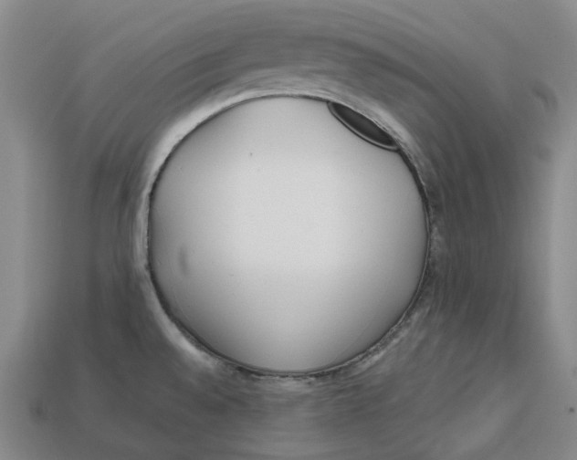 X0000112971528200909241316
