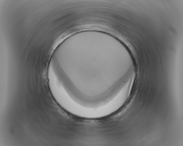 X0000112971529200909241316