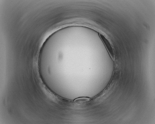 X0000112971530200909241316
