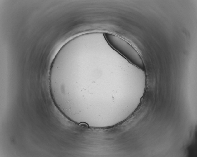 X0000112971532200909241316