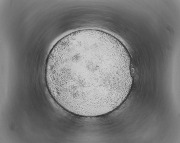 X0000112971534200909241317