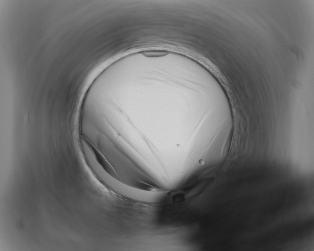 X0000112971536200909241317