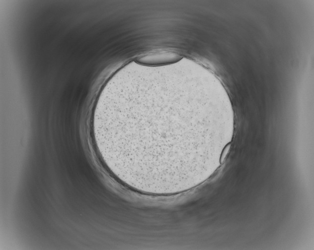X0000112970001200910081055
