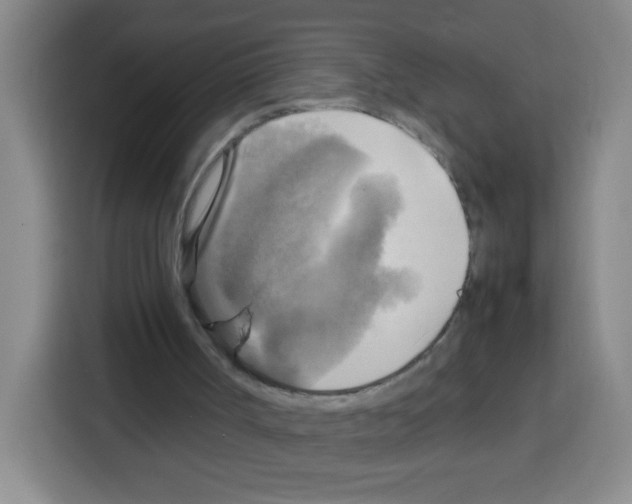 X0000112970002200910081055