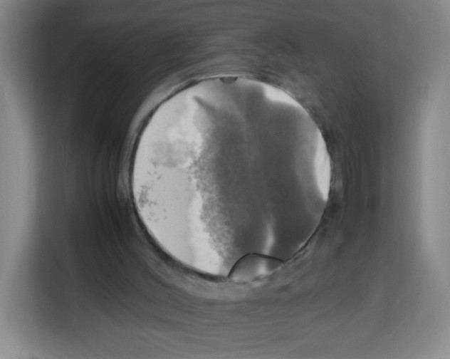 X0000112970004200910081055