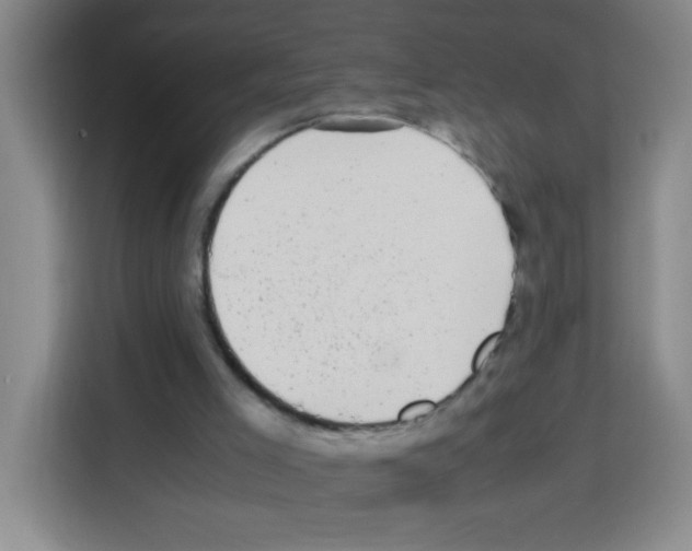 X0000112970005200910081055