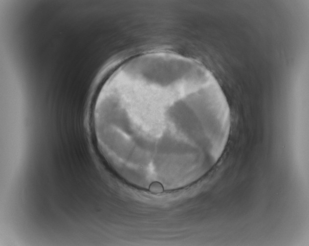 X0000112970006200910081055