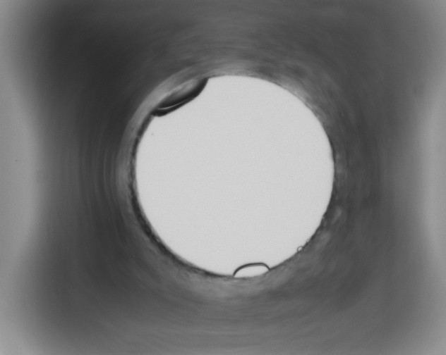 X0000112970007200910081055