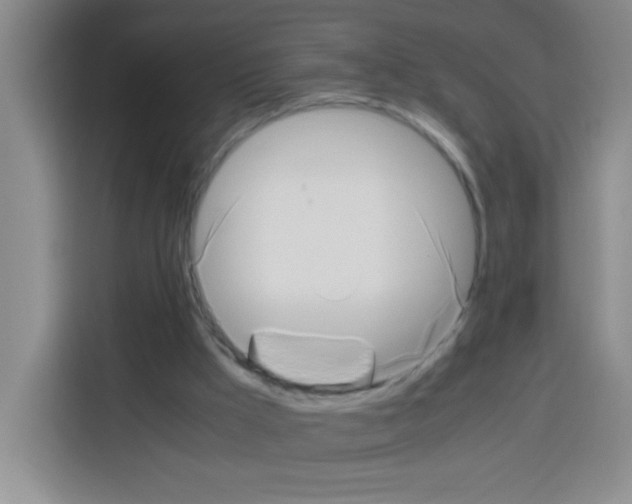 X0000112970009200910081055