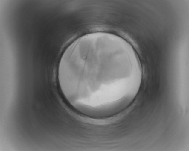 X0000112970010200910081055