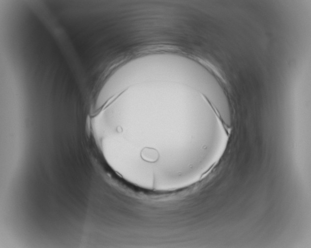 X0000112970013200910081055