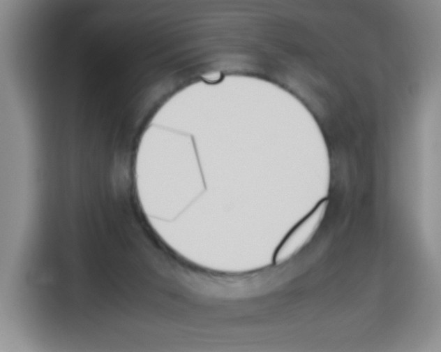 X0000112970015200910081055