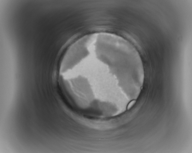 X0000112970016200910081055
