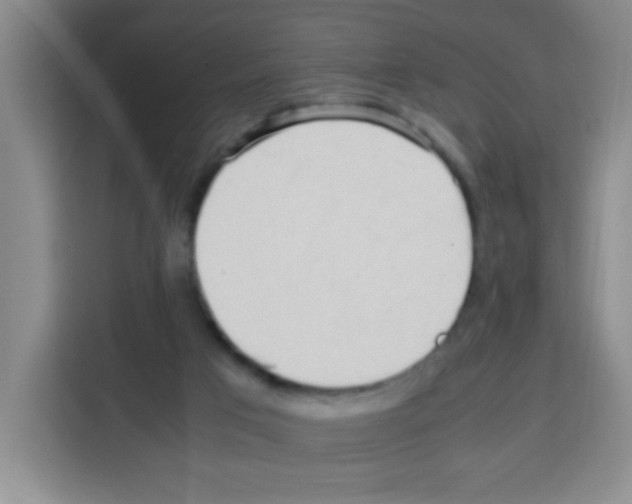 X0000112970017200910081055