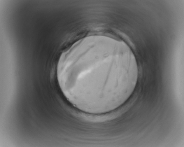 X0000112970018200910081055