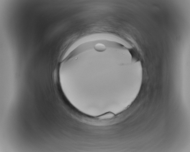 X0000112970019200910081055