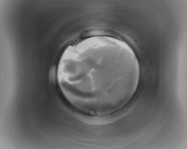 X0000112970020200910081055