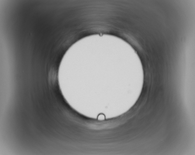 X0000112970021200910081054
