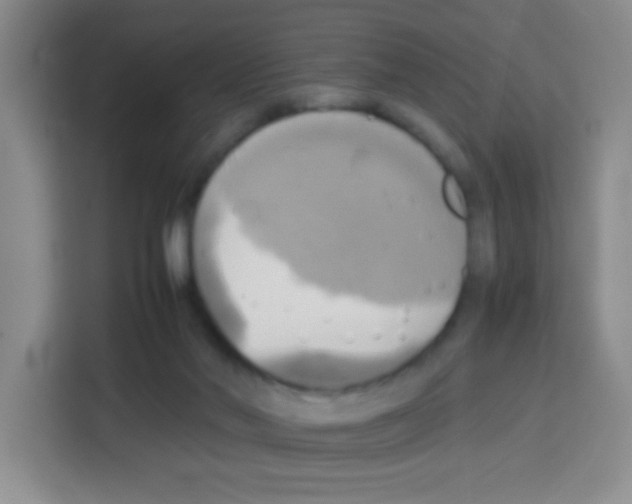 X0000112970022200910081054