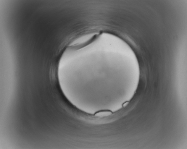 X0000112970023200910081054