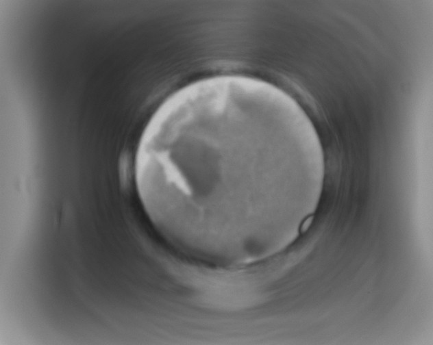 X0000112970024200910081054
