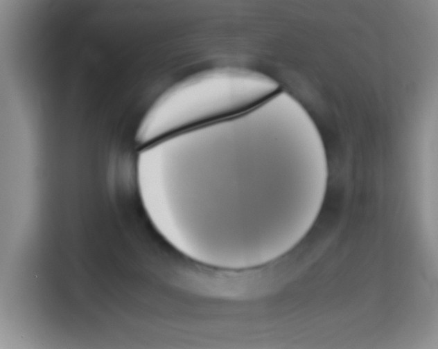 X0000112970027200910081054
