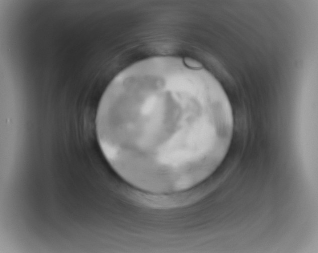 X0000112970030200910081054
