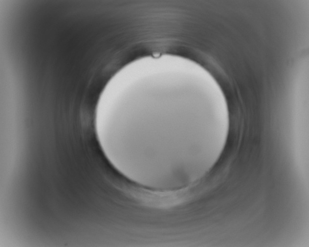 X0000112970031200910081054