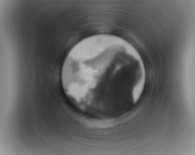 X0000112970032200910081054