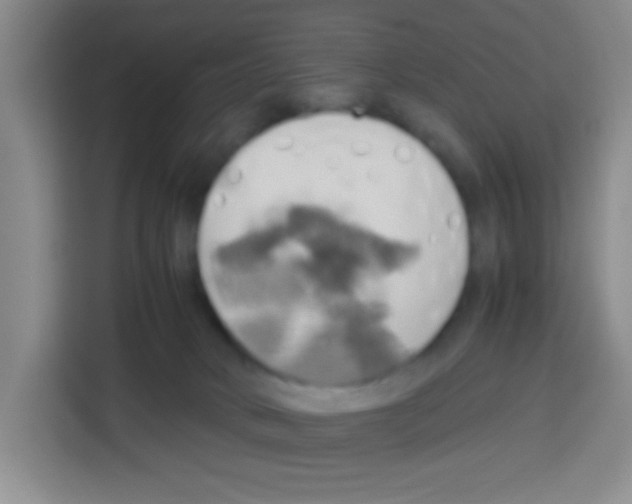 X0000112970034200910081054