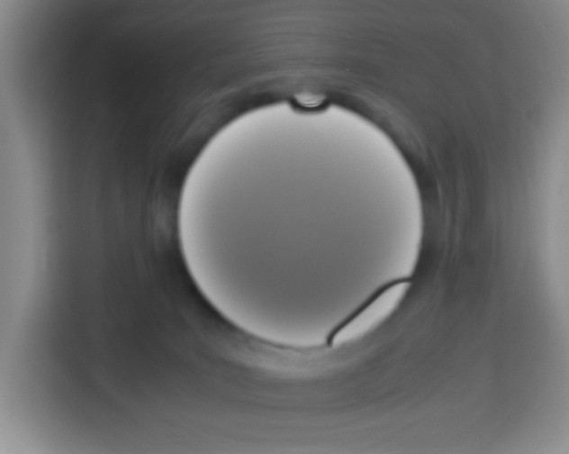 X0000112970035200910081054