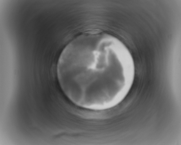 X0000112970036200910081054