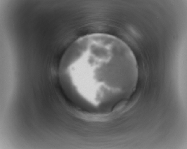 X0000112970040200910081054