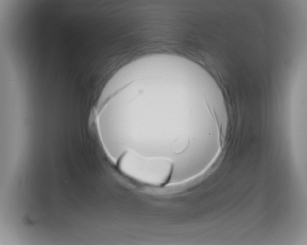 X0000112970041200910081054