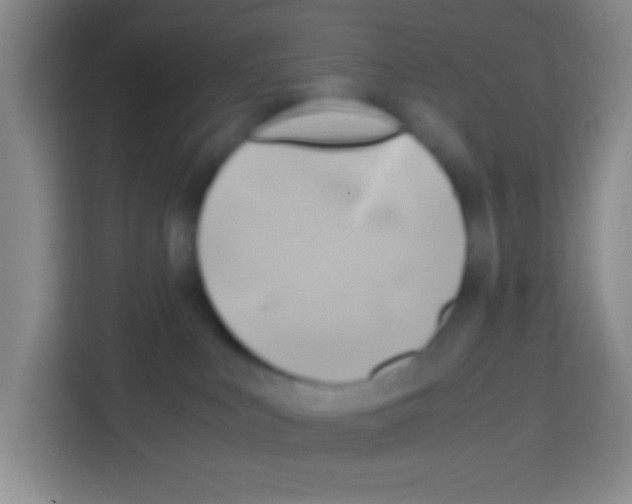 X0000112970043200910081054