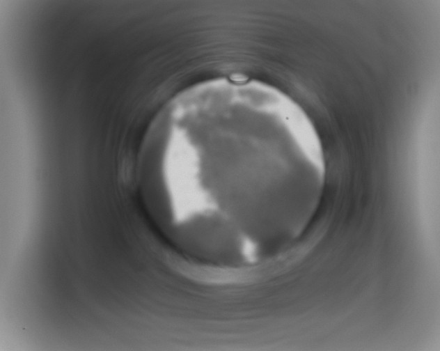 X0000112970044200910081054