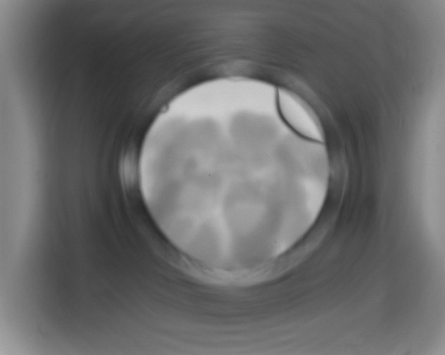 X0000112970046200910081054