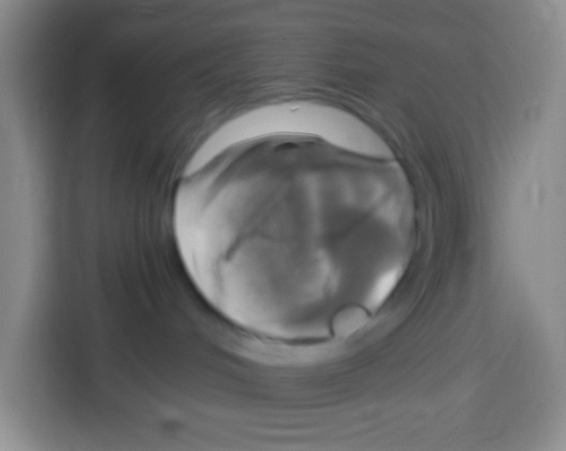 X0000112970048200910081054