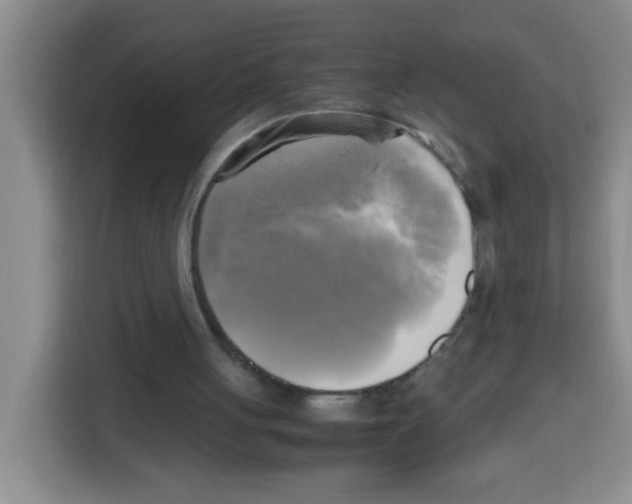 X0000112970051200910081054