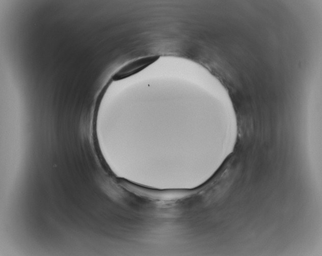 X0000112970052200910081054