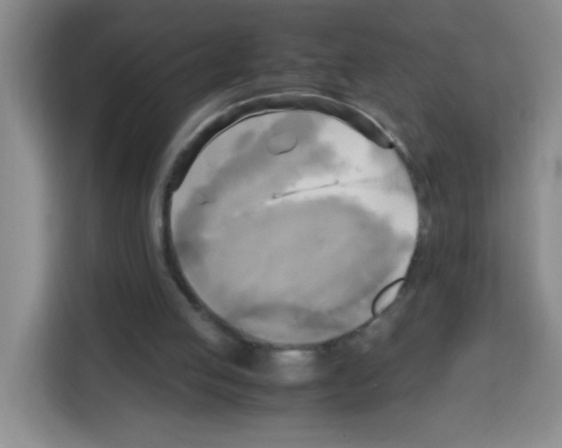 X0000112970053200910081054